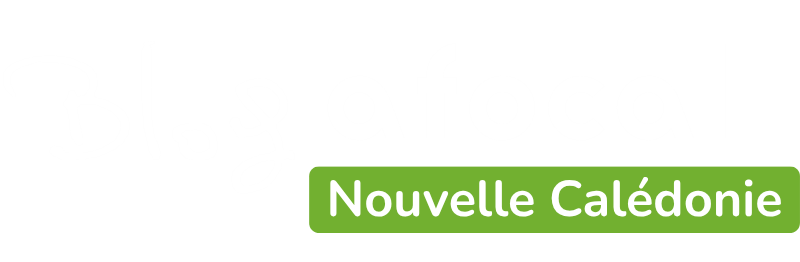 Les différents logos Afocal + blogs - Ete 2026 (1)